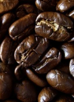 Maragogype Espresso 1000g