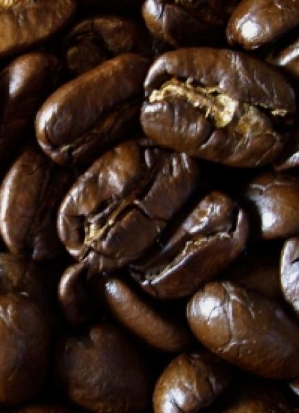 Maragogype Espresso 500g